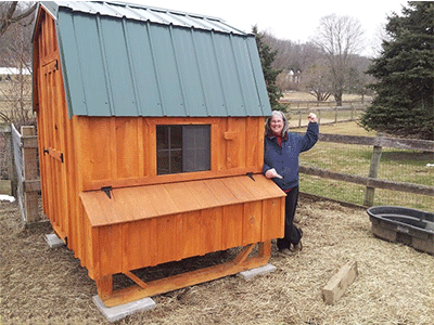 Large Chicken Coops | The best selection of walk-in ...