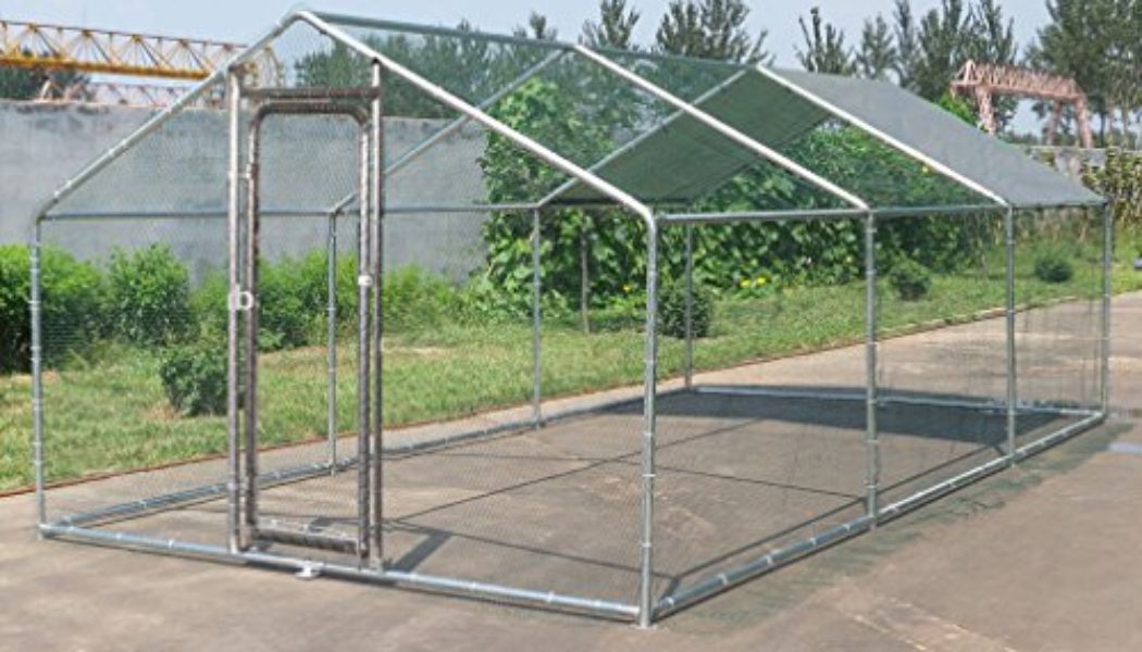 ChickenCoopOutlet Large Metal 20×10 ft Chicken Coop Backyard Hen House ... - 51CtRo2kS1L 1050x600