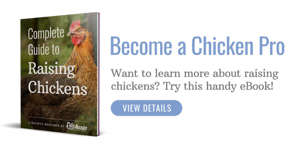 complete guide to raising chickens ebook