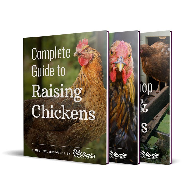 chicken e-books