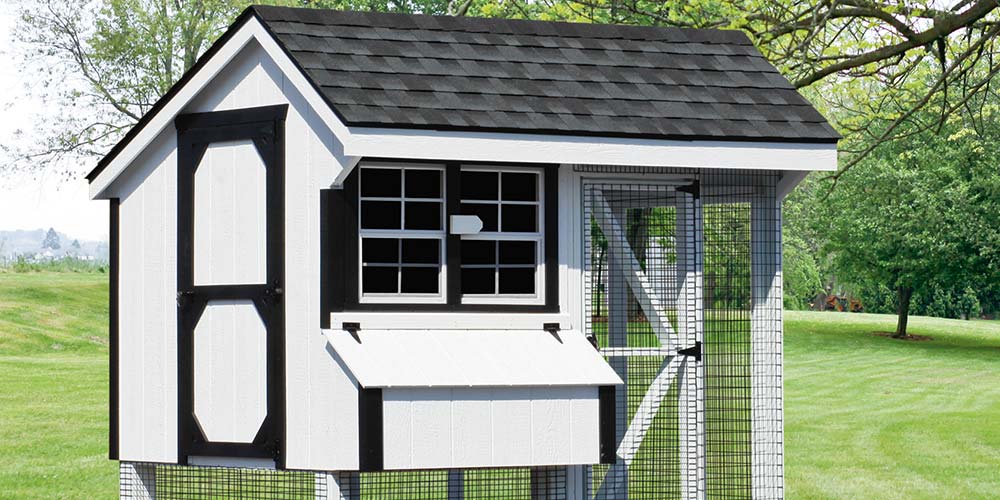 chicken coop for 10 chickens