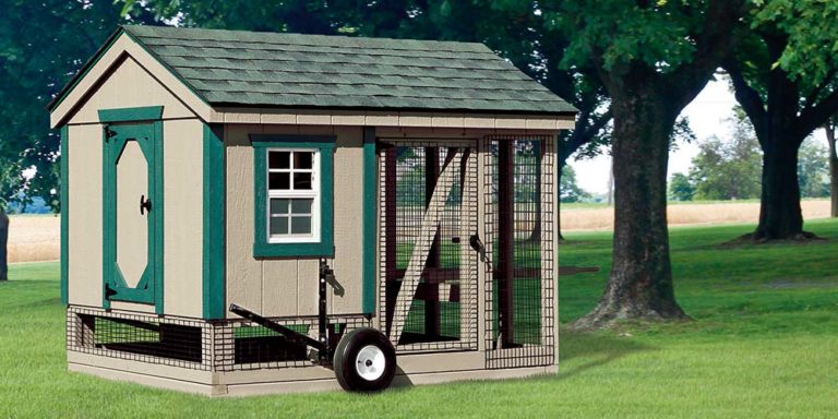 Chicken Coop for 6 Chickens | Beautiful American-Made Coops