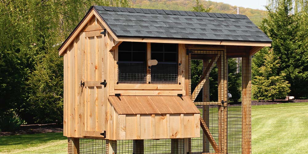 chicken coop for 8 chickens