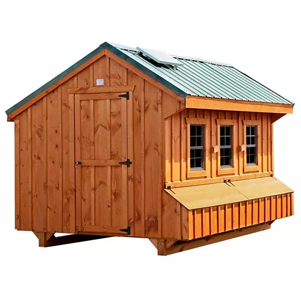 Huge walk-in chicken coop with stained wood siding and green metal roof