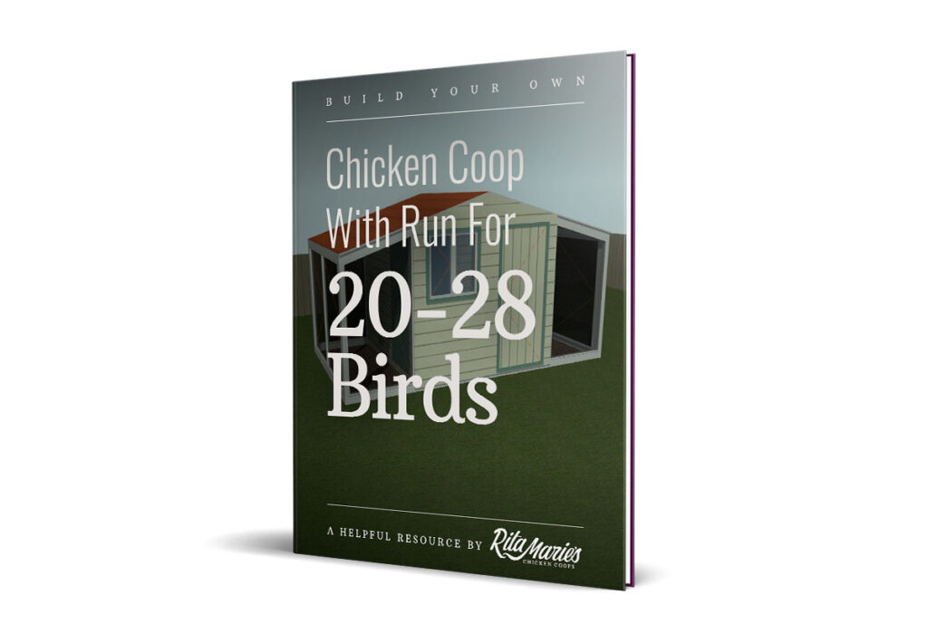 chicken coop plans for 28 chickens