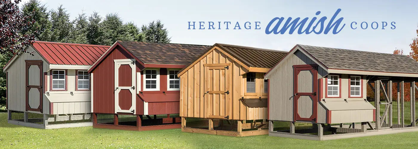 heritage Amish chicken coops