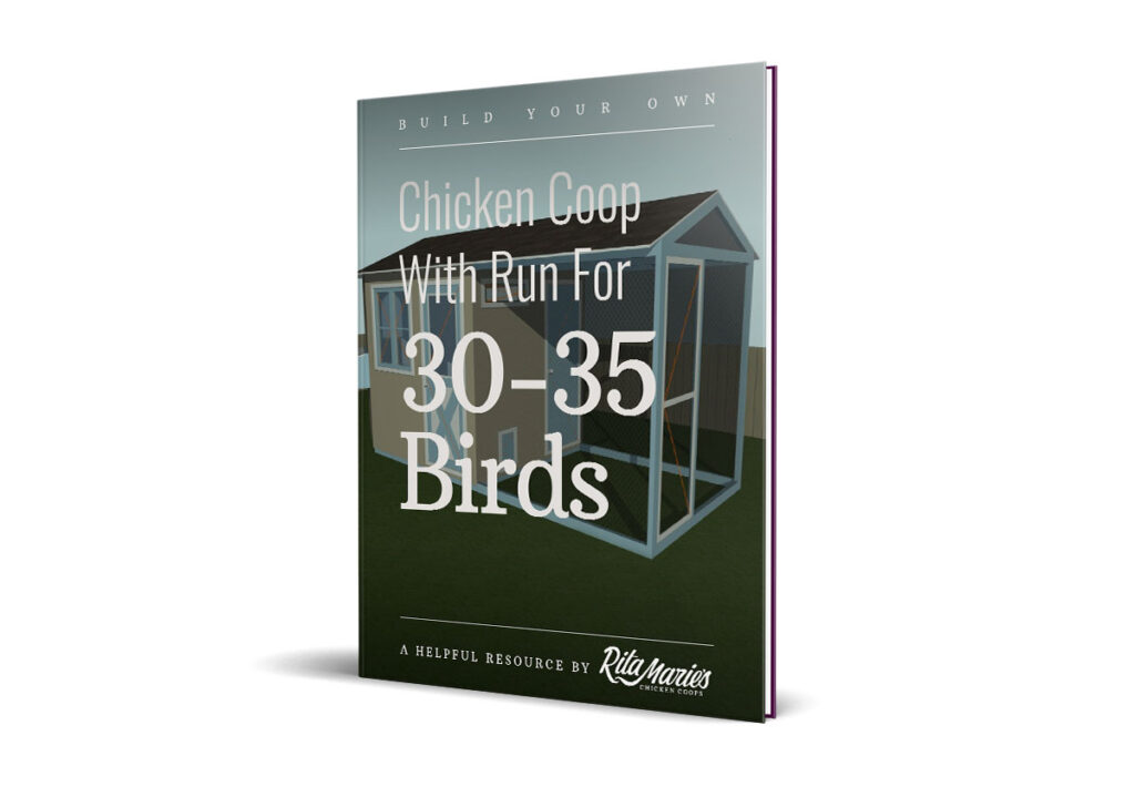 chicken coop plans for 30 chickens